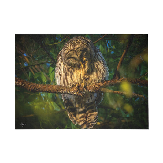 Barred Owl Wildlife Puzzle - 500, 1000 Piece Jigsaw