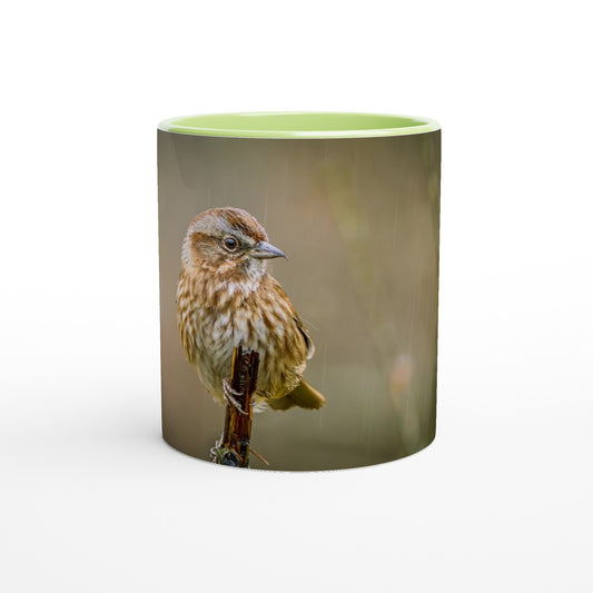 33e20a2b-d889-42ac-841c-4f9171b5ab77