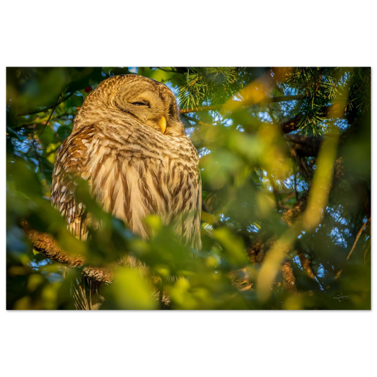 4a7552ed-cef2-43ff-b31c-7cf3b0c0b964