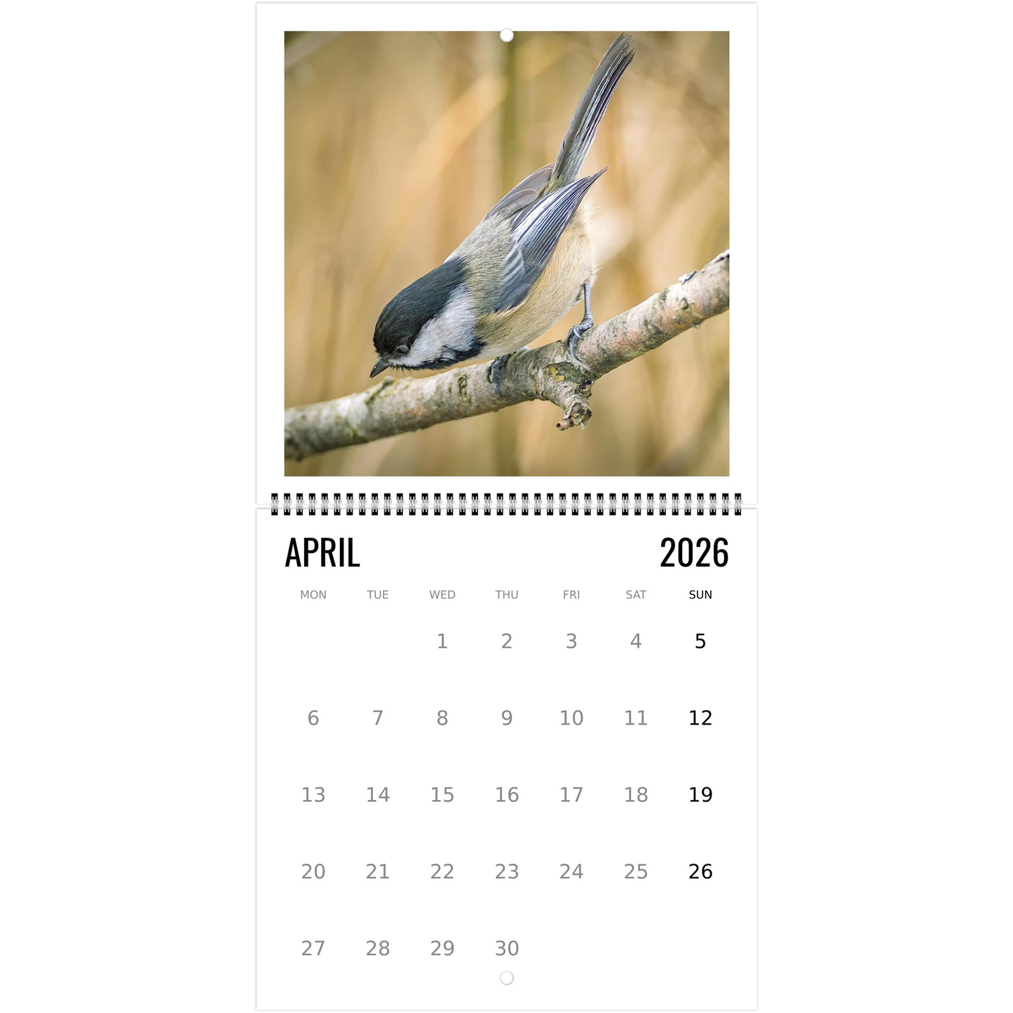 5791c268-1c0d-4e4c-9105-9ae170e7fe1b