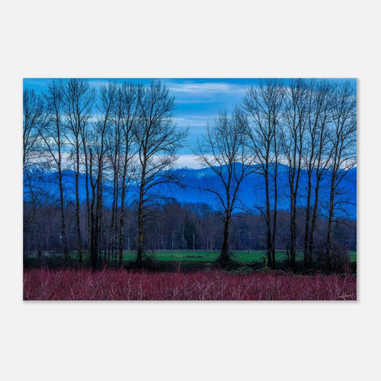 87cd47db-e0e1-4ffd-abbf-fbb2f795e19c