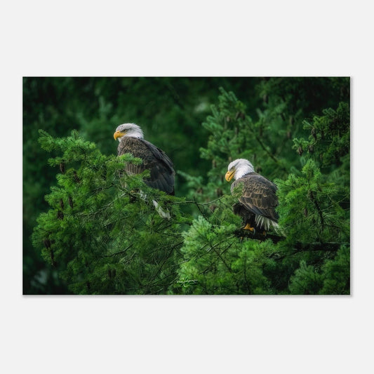 8f0347f2-a860-4044-94f7-ae122463ca53