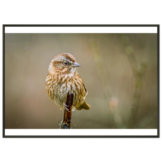 af1a5885-b9de-416a-96ef-92b687361f3e