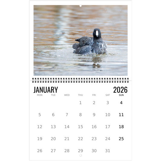 b1f6feb5-ac67-42a8-bf36-ece23bf2a95d