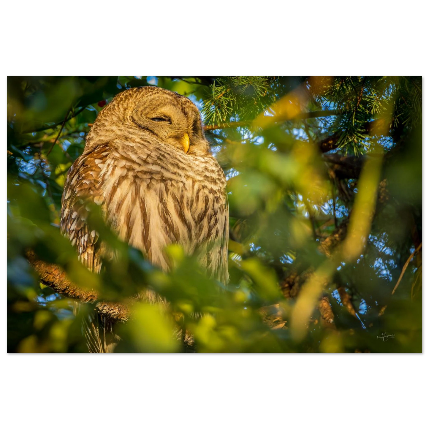 e93deb62-2b4a-42d7-9a63-a98add71392d