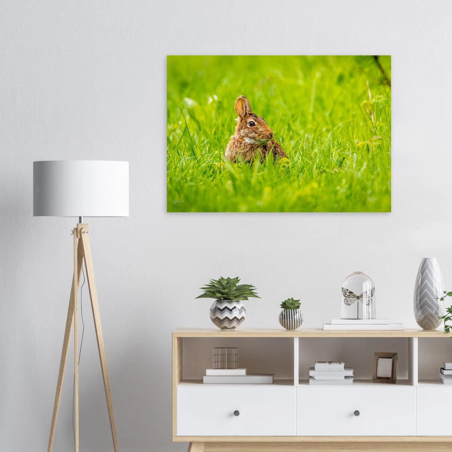 ee9afe3f-a85d-4cba-bfd9-90c8bcae3f9a