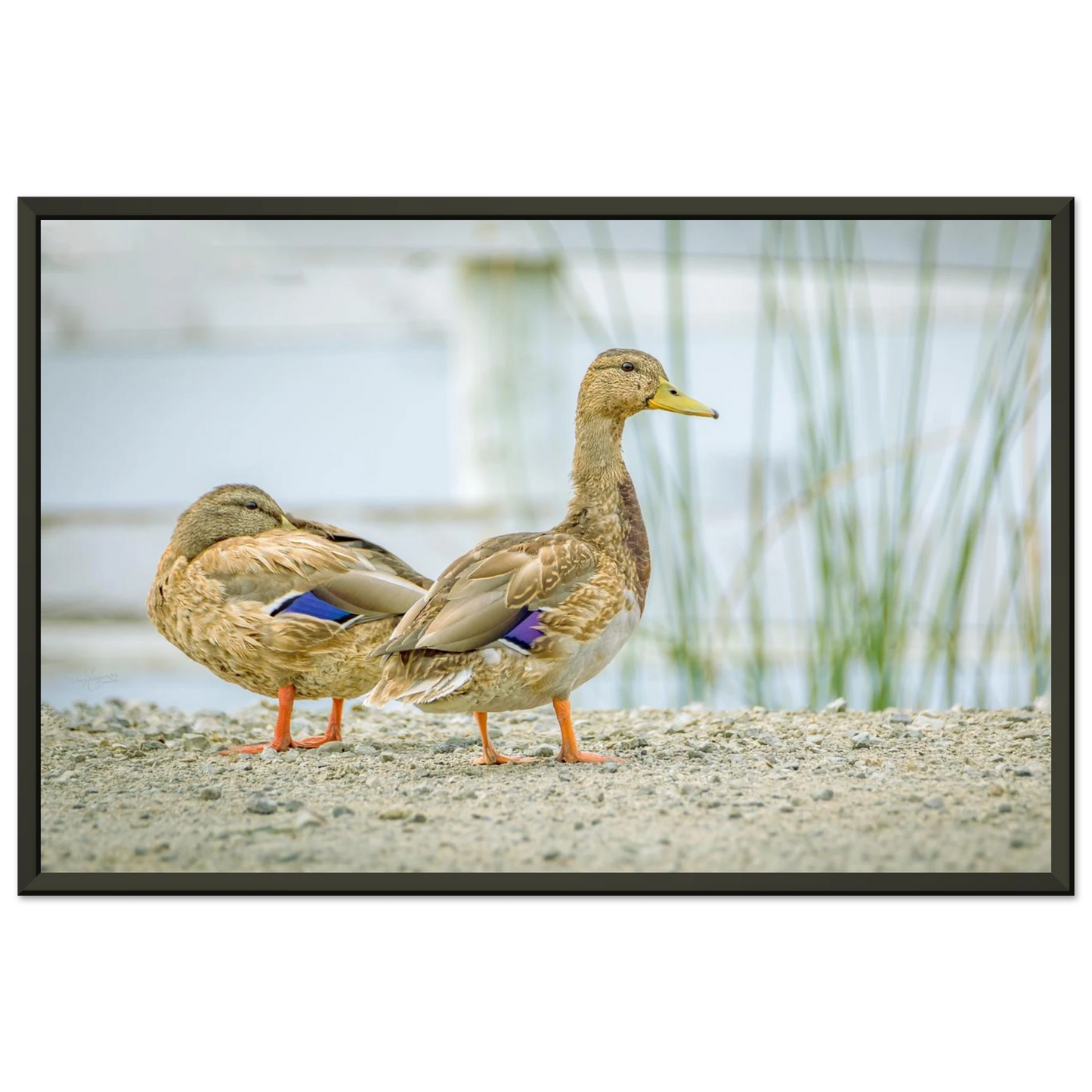 040b285c-bc79-4df6-bc8f-fd5b8d16bbaa