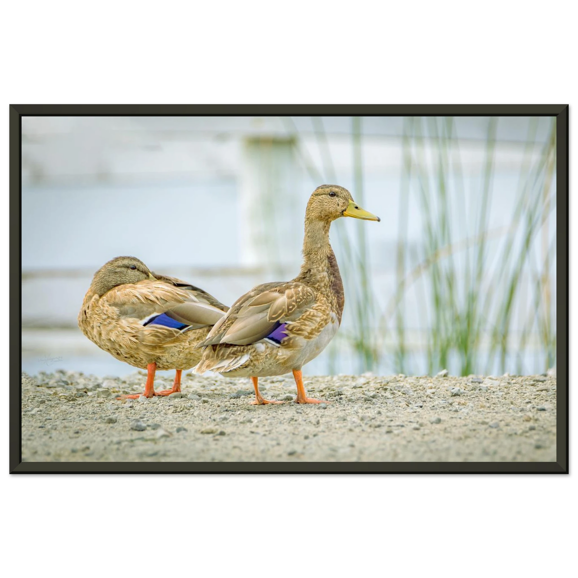 040b285c-bc79-4df6-bc8f-fd5b8d16bbaa