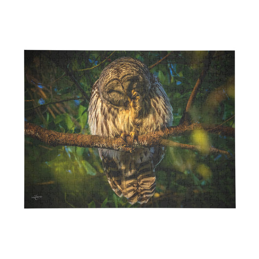 Barred Owl Wildlife Puzzle - 500, 1000 Piece Jigsaw