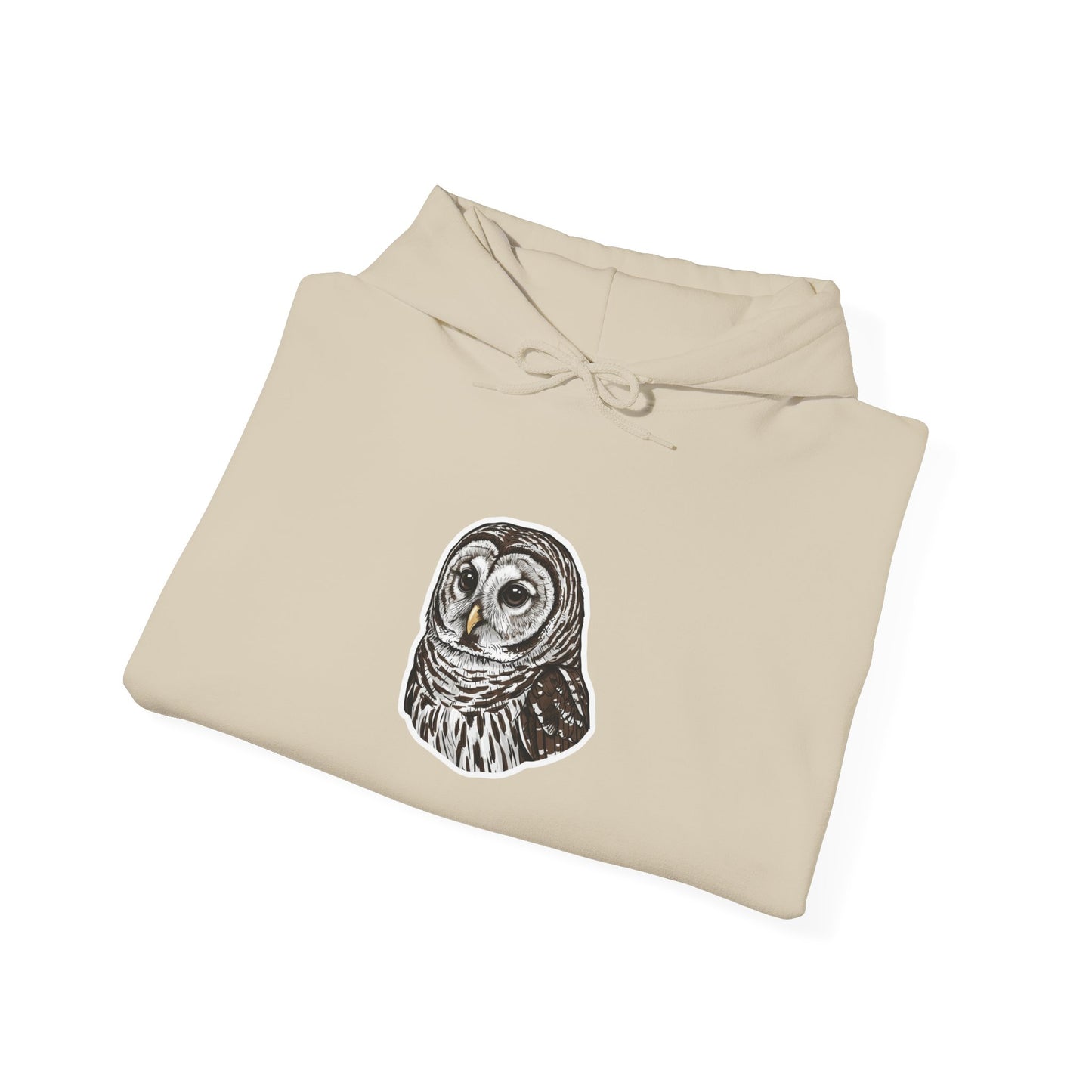 Hand-Drawn Barn Owl Illustration Hoodie | Wildlife Chest Print