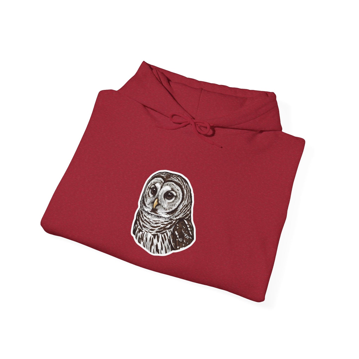 Hand-Drawn Barn Owl Illustration Hoodie | Wildlife Chest Print