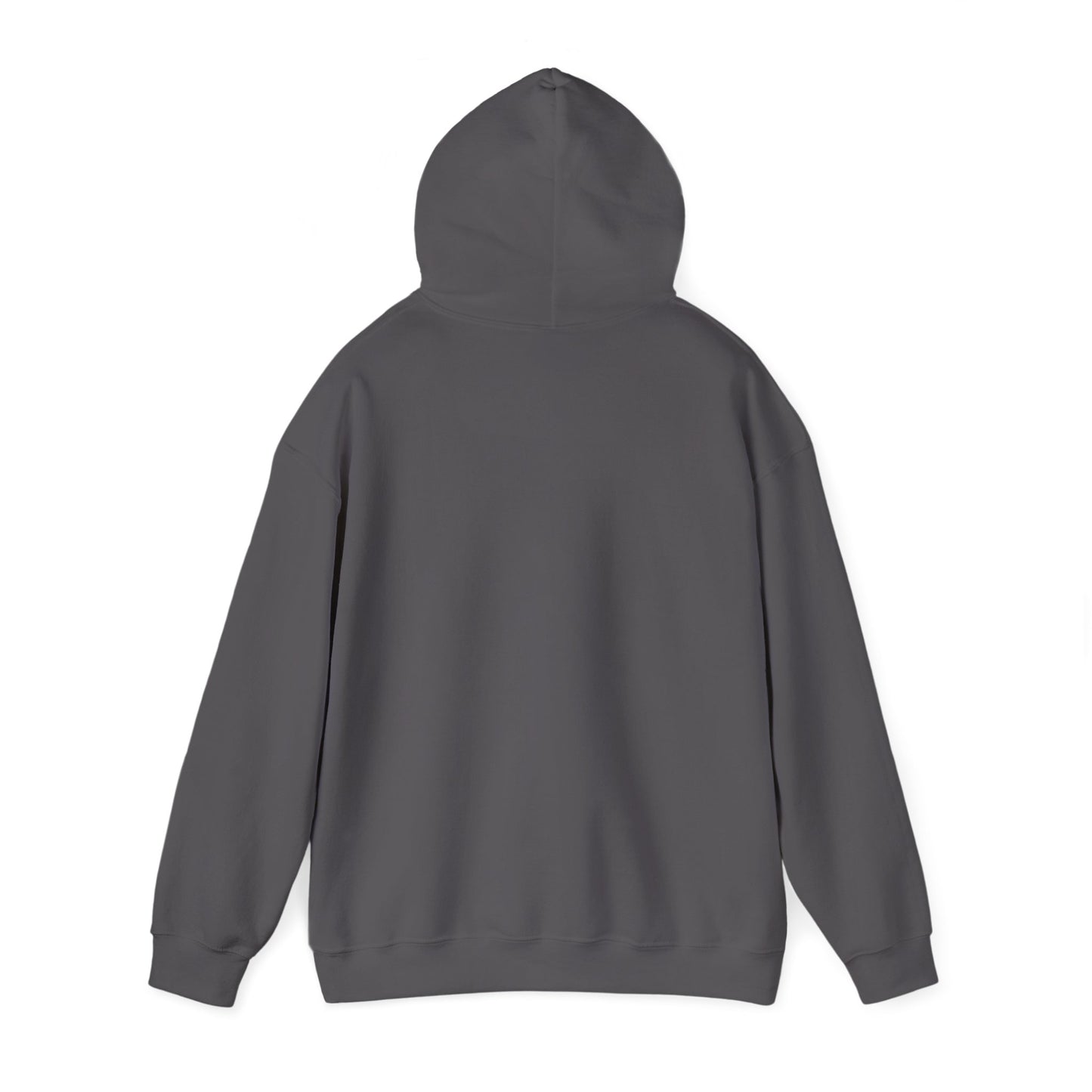 Hand-Drawn Barn Owl Illustration Hoodie | Wildlife Chest Print