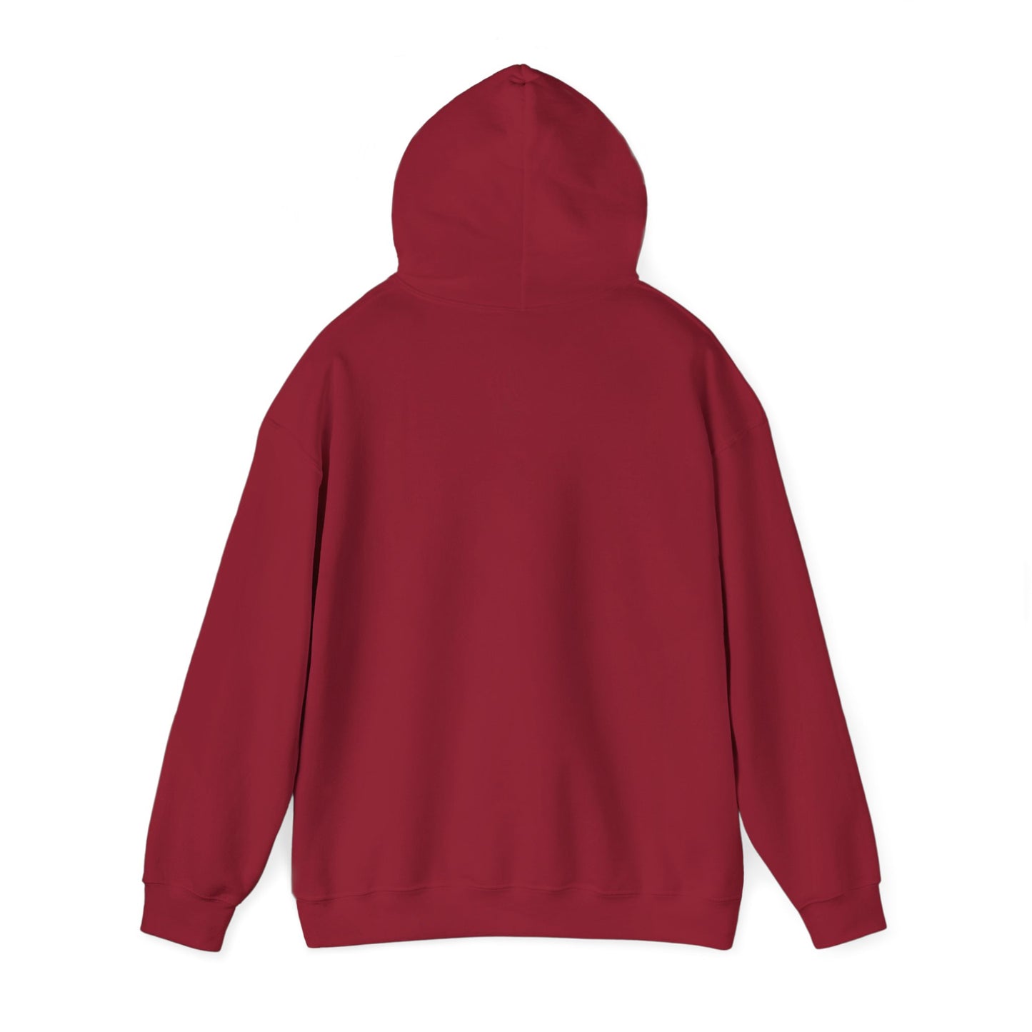 Hand-Drawn Barn Owl Illustration Hoodie | Wildlife Chest Print