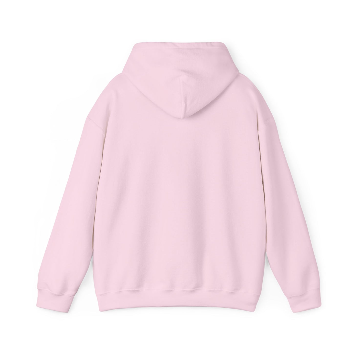 Hand-Drawn Barn Owl Illustration Hoodie | Wildlife Chest Print
