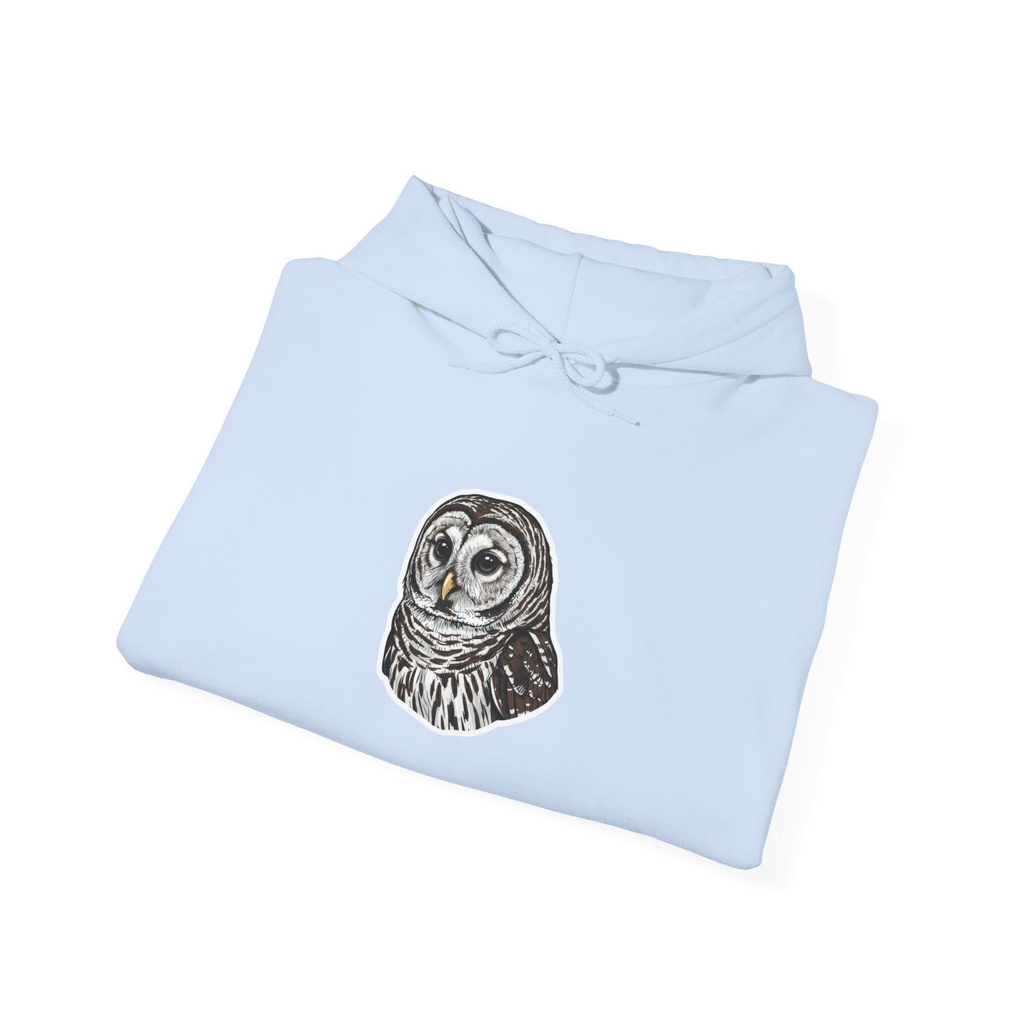 Hand-Drawn Barn Owl Illustration Hoodie | Wildlife Chest Print