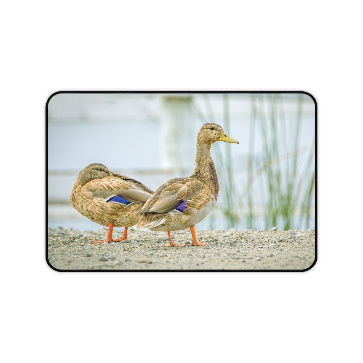 Duck Pair Desk Mat — Scenic Waterfowl Mouse Pad for Nature Lovers