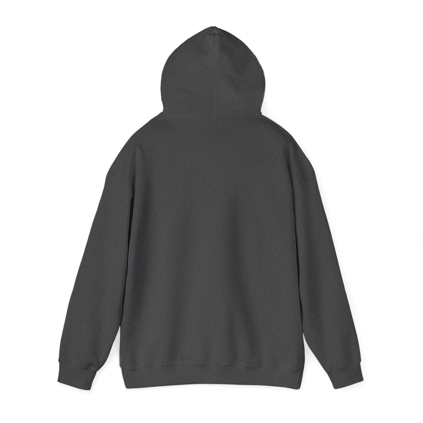 Hand-Drawn Barn Owl Illustration Hoodie | Wildlife Chest Print
