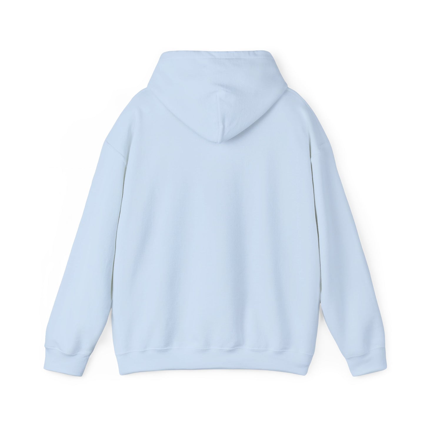 Hand-Drawn Barn Owl Illustration Hoodie | Wildlife Chest Print