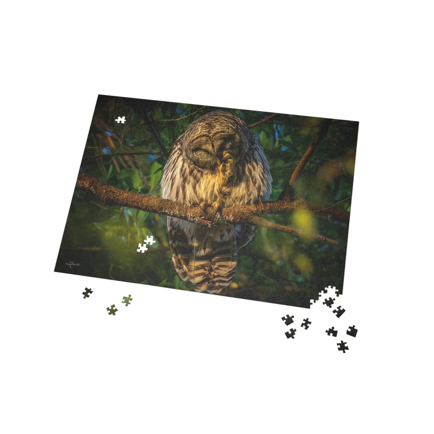 Barred Owl Wildlife Puzzle - 500, 1000 Piece Jigsaw