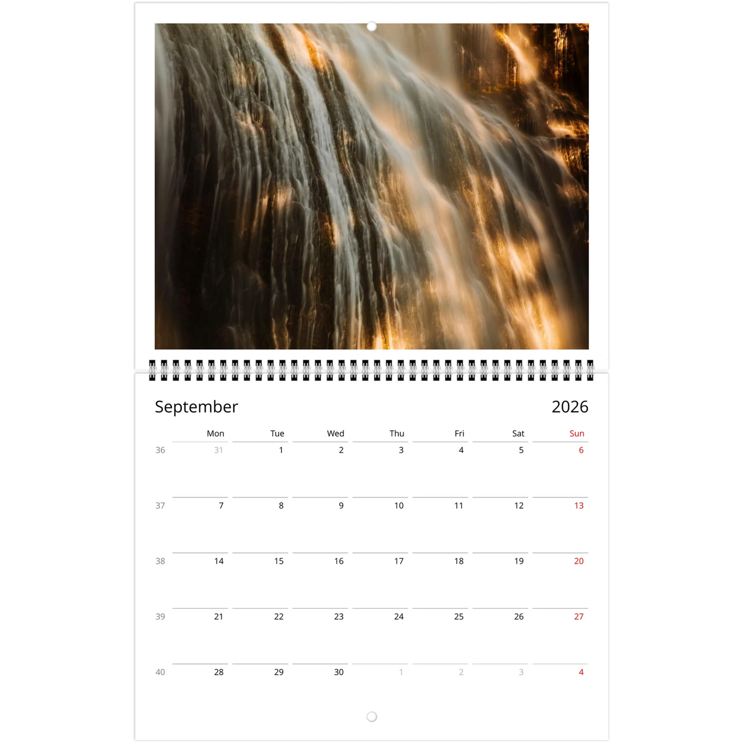 1469d0c2-6893-4d59-83fa-bc91c8401e35