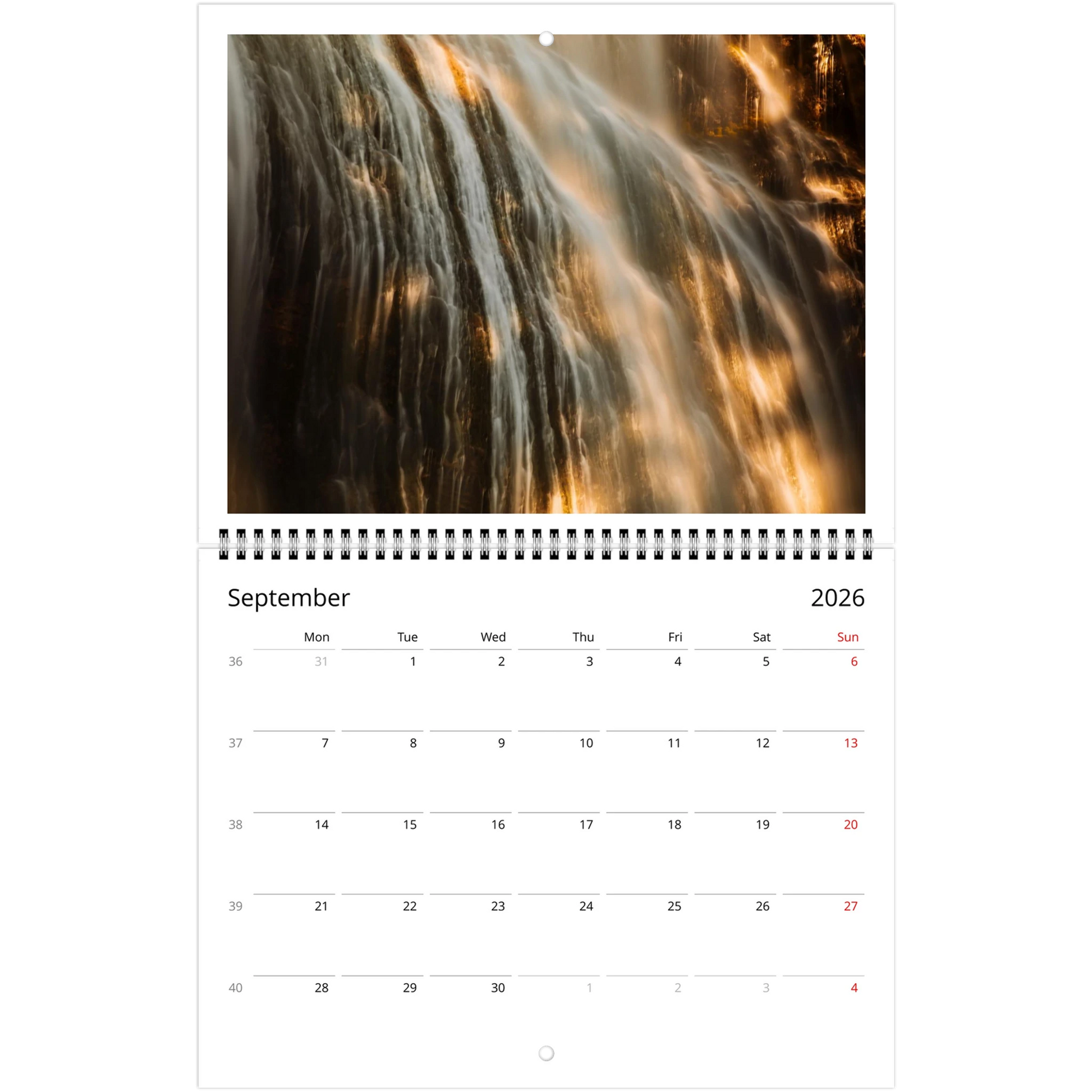 1469d0c2-6893-4d59-83fa-bc91c8401e35