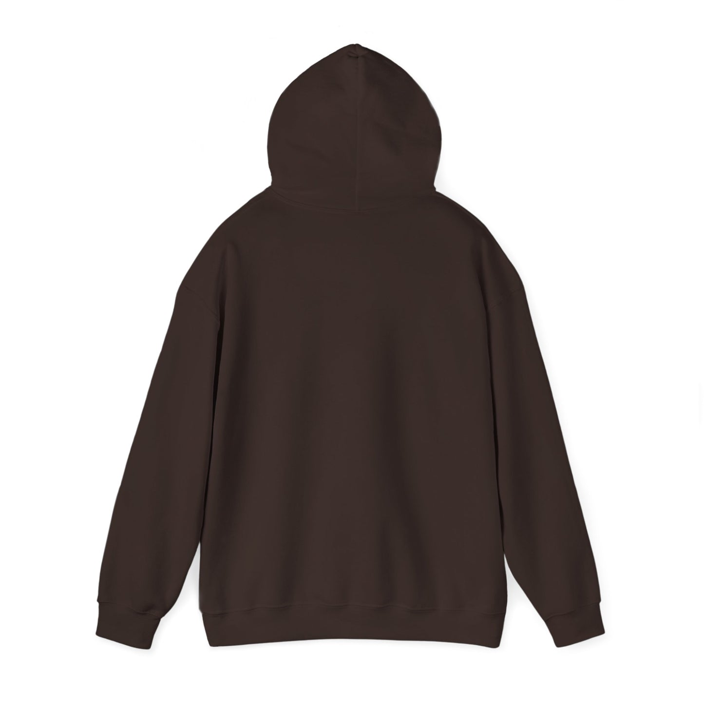 Hand-Drawn Barn Owl Illustration Hoodie | Wildlife Chest Print