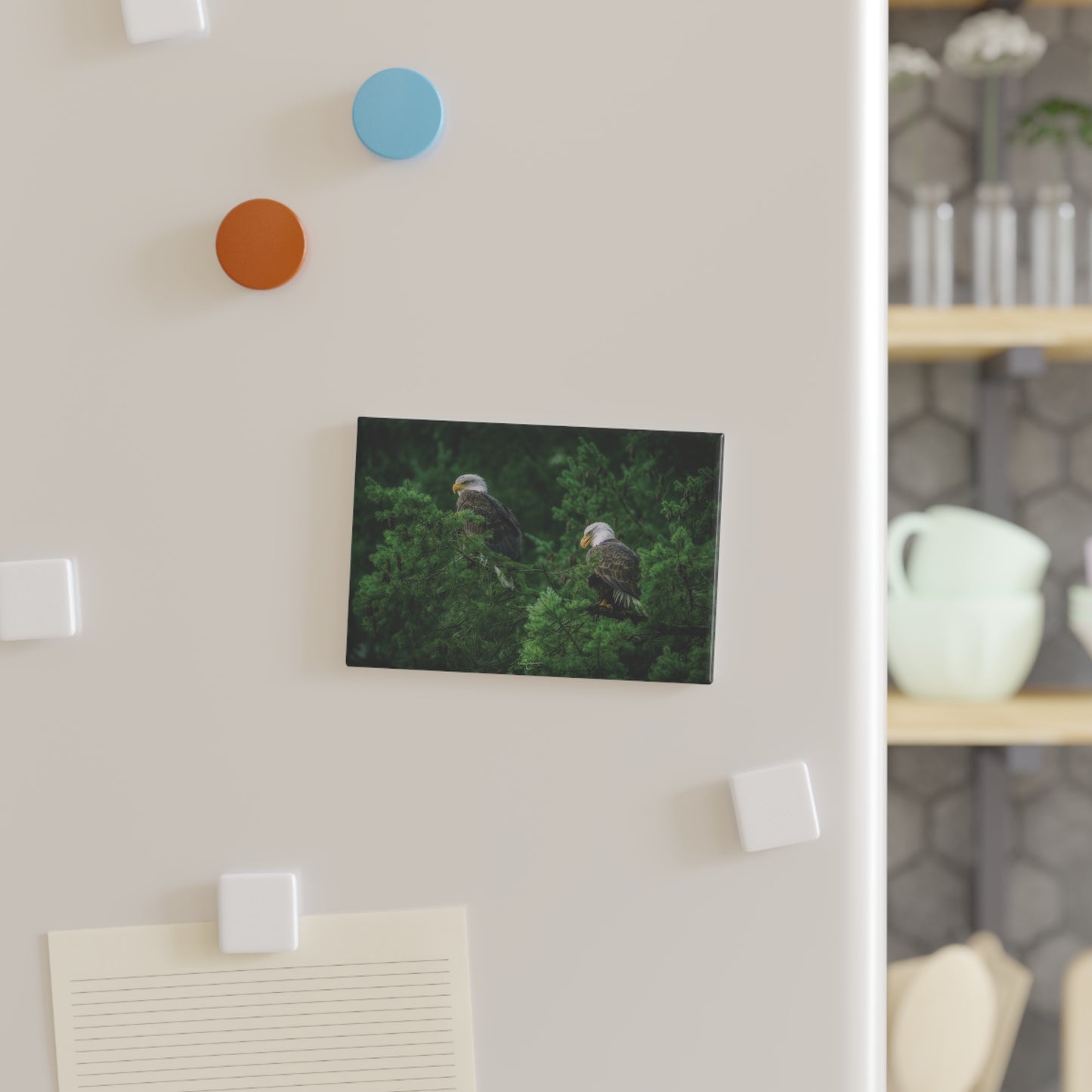 Bald Eagle Forest Rectangle Magnet — Glossy Nature Fridge Magnet