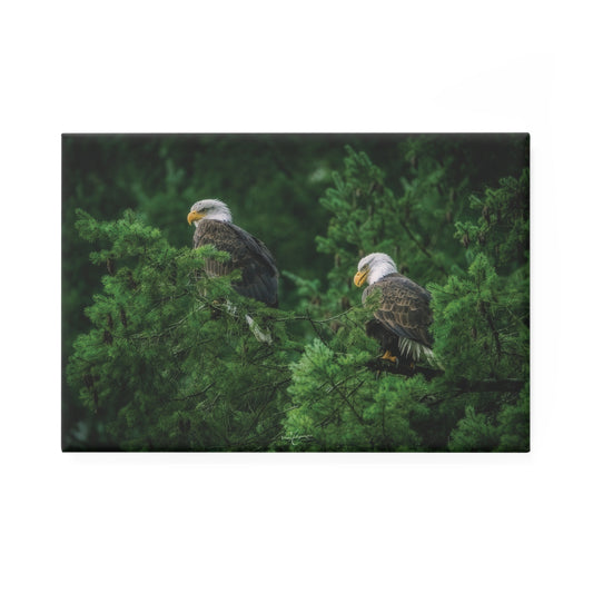 Bald Eagle Forest Rectangle Magnet — Glossy Nature Fridge Magnet