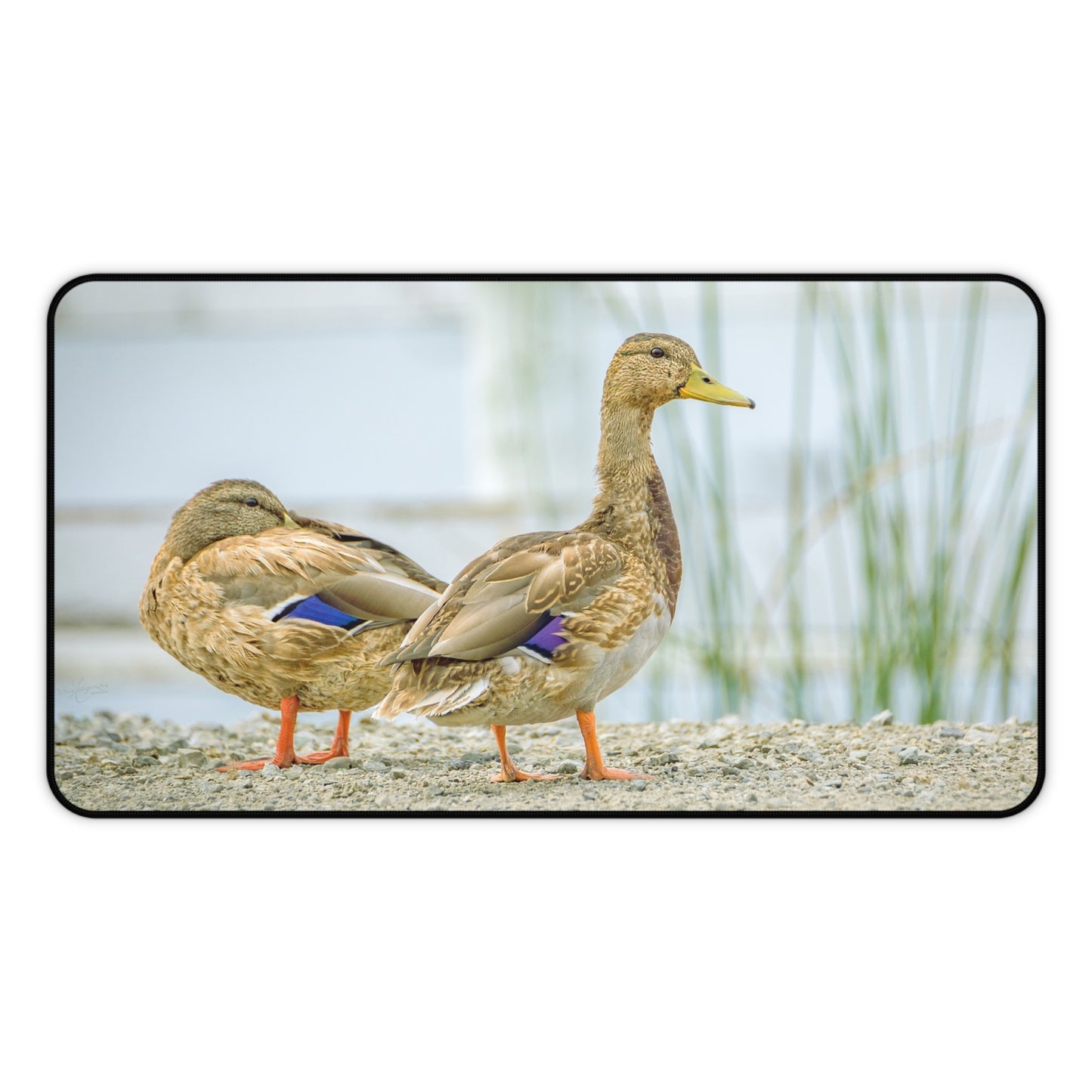 Duck Pair Desk Mat — Scenic Waterfowl Mouse Pad for Nature Lovers