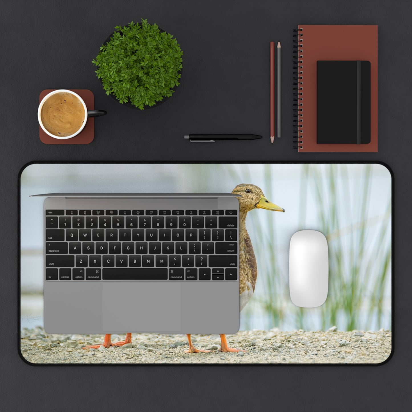 Duck Pair Desk Mat — Scenic Waterfowl Mouse Pad for Nature Lovers