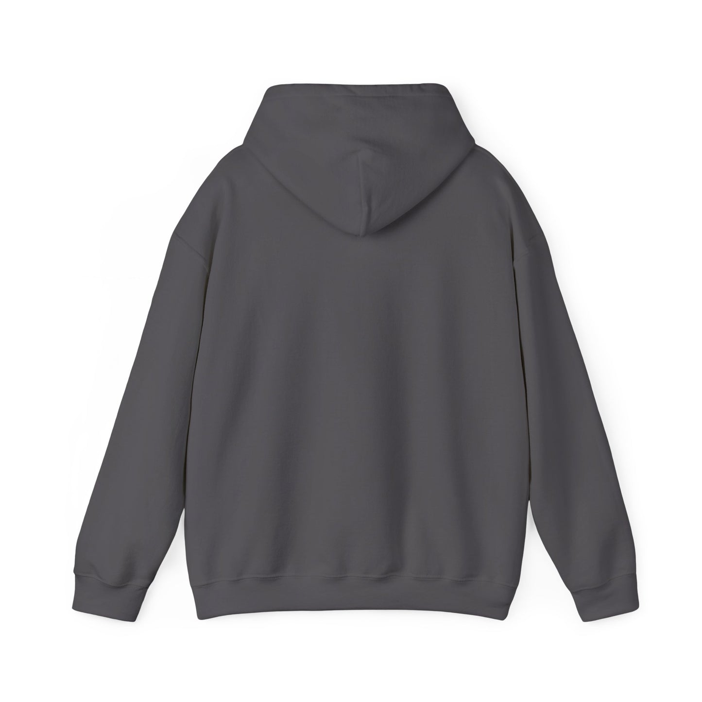Hand-Drawn Barn Owl Illustration Hoodie | Wildlife Chest Print