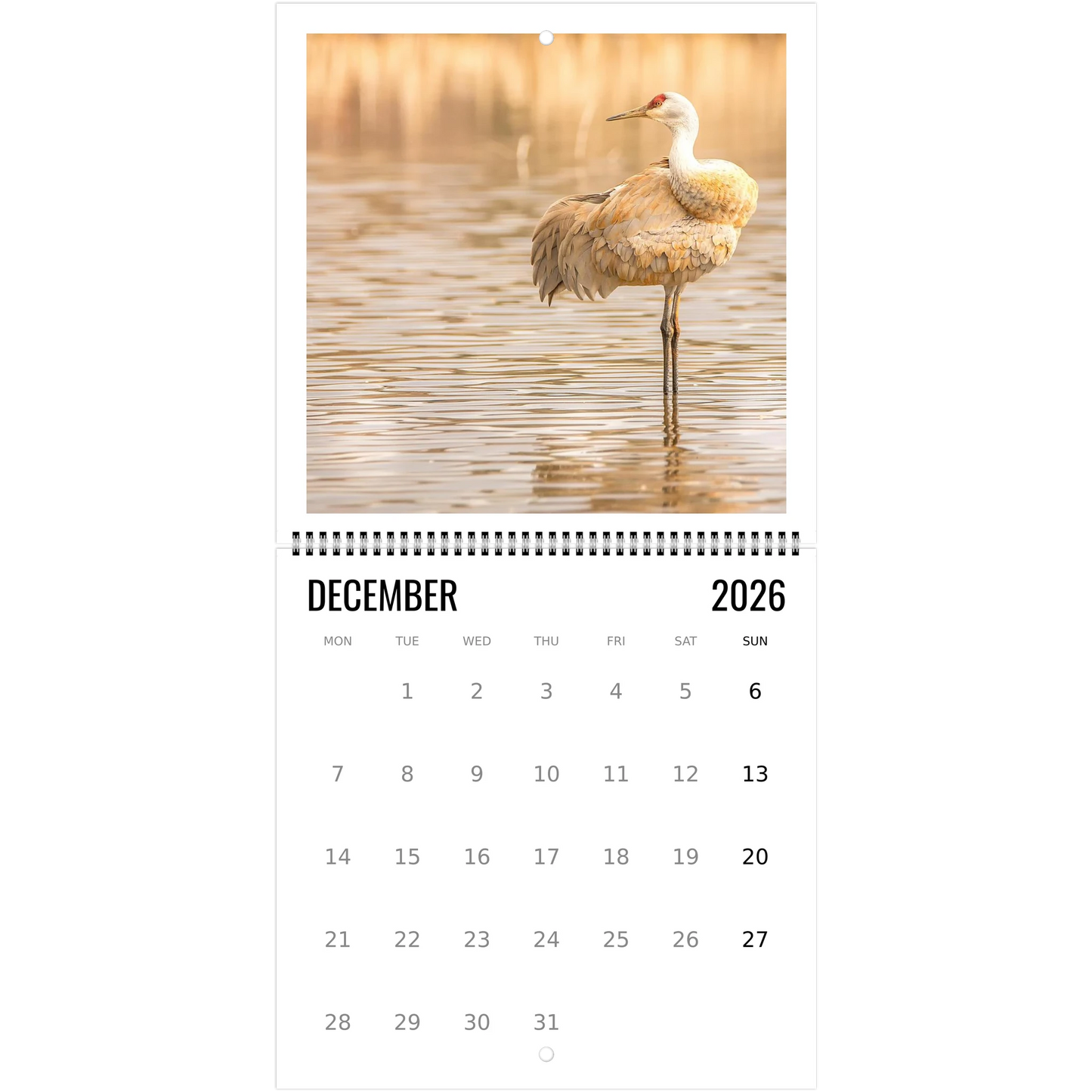 21ded9ee-edd5-4f29-b87d-2da4120a286f