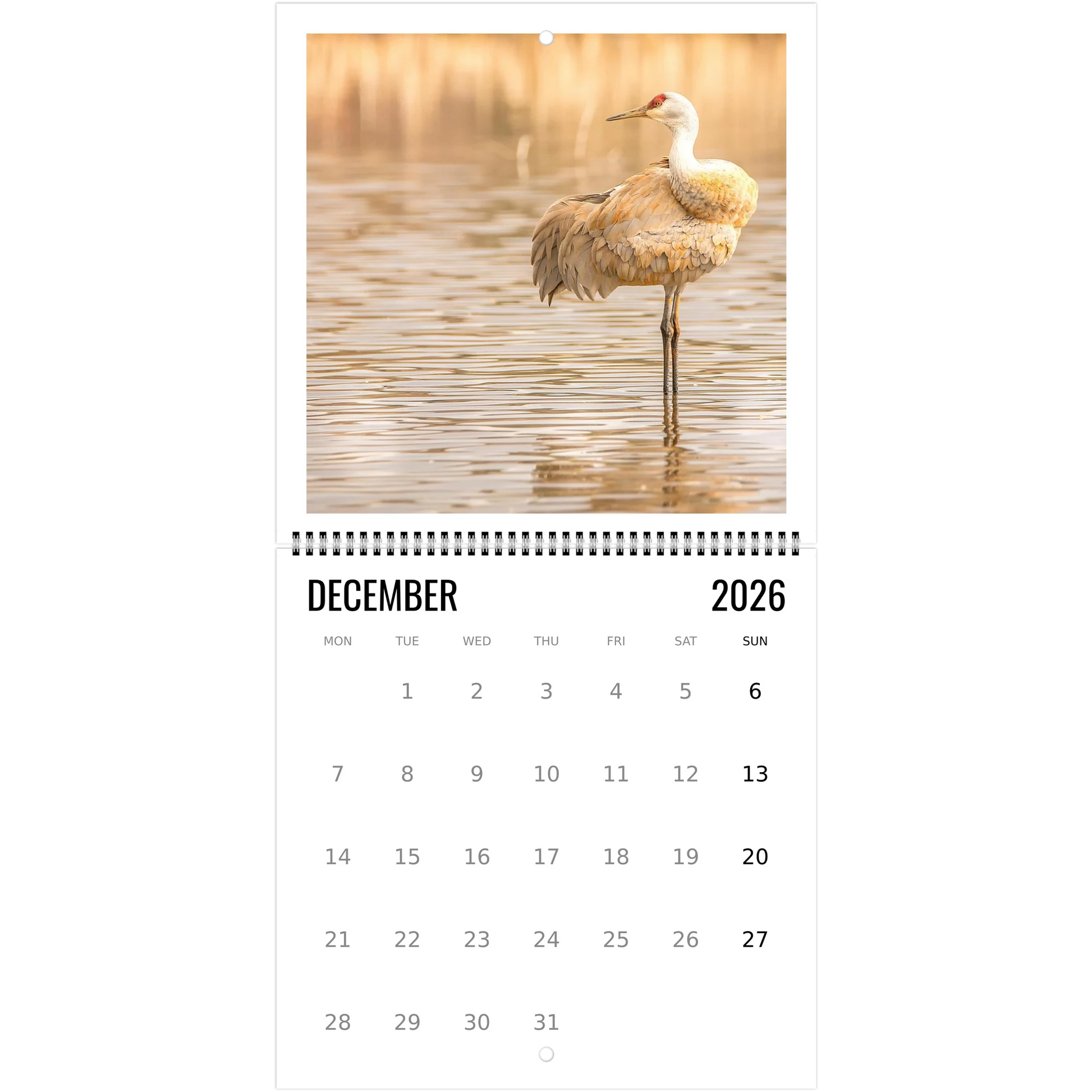 21ded9ee-edd5-4f29-b87d-2da4120a286f