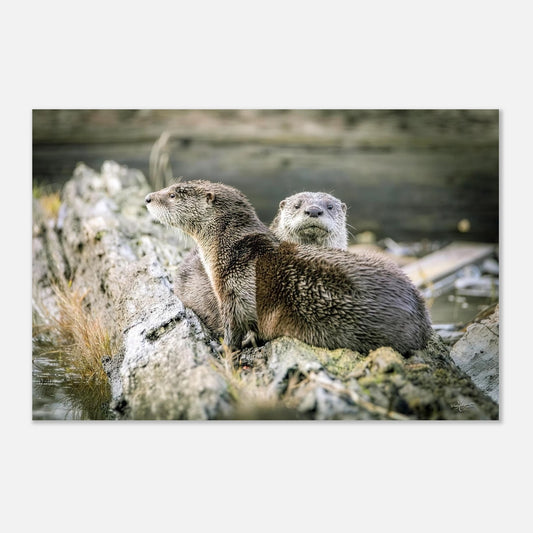 2ece1f0c-75c0-4299-9a5c-2157c6c39d33