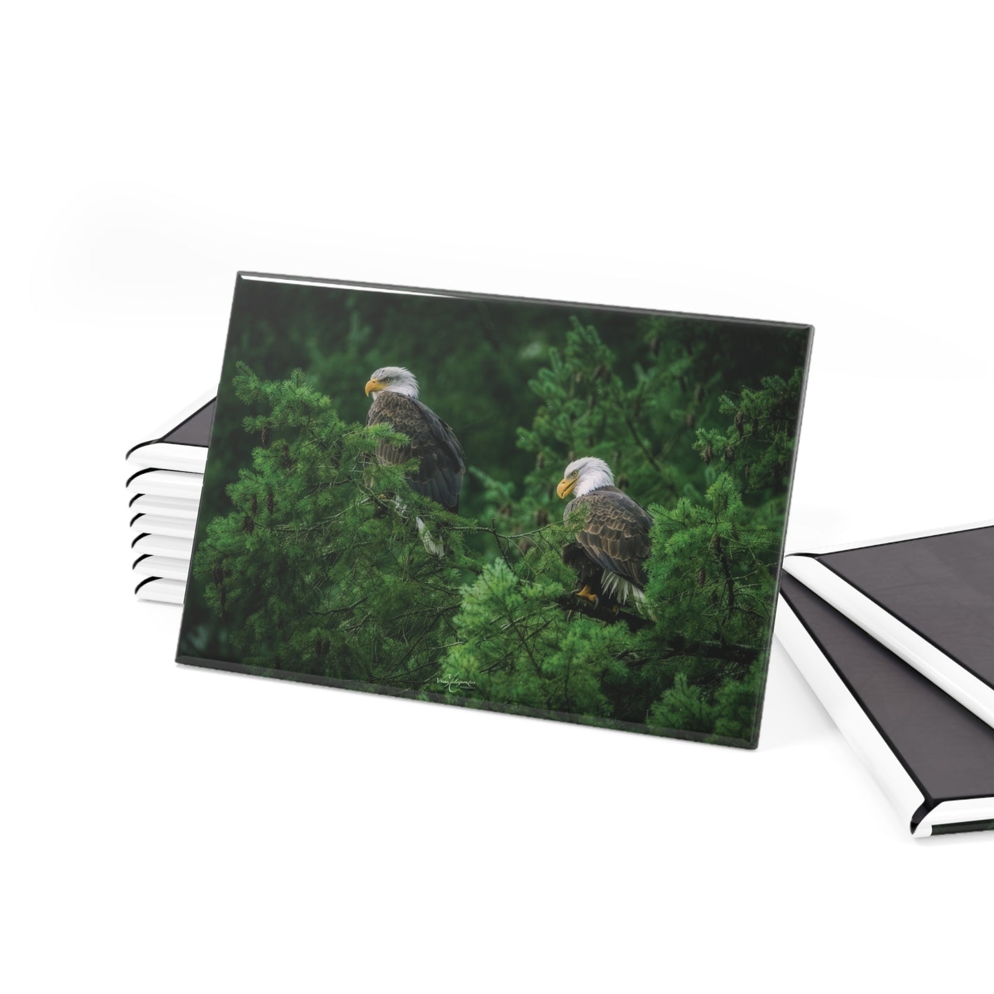 Bald Eagle Forest Rectangle Magnet — Glossy Nature Fridge Magnet