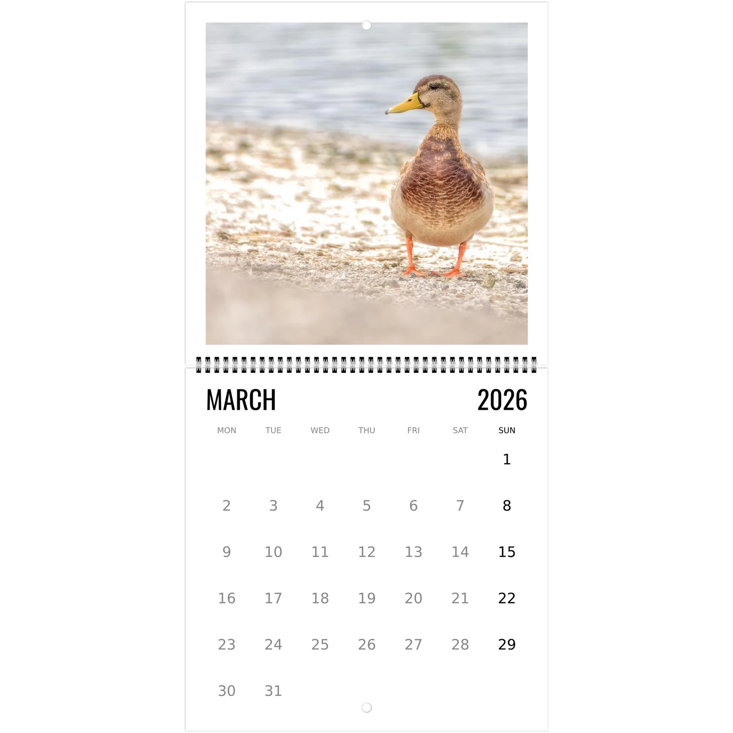 31e18869-deef-421c-8c30-67f6525880bd