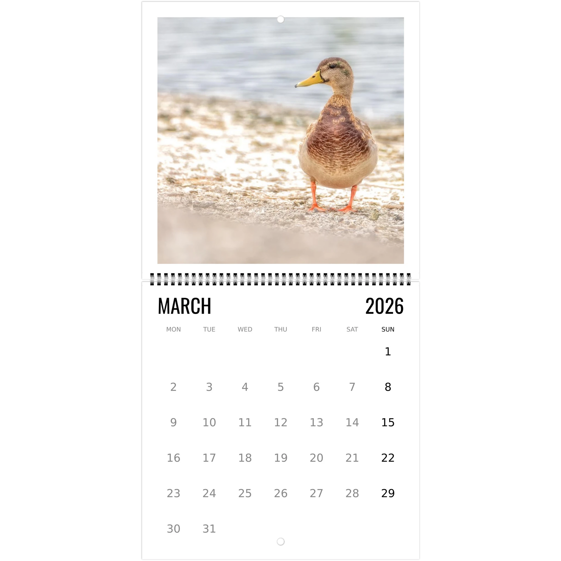 31e18869-deef-421c-8c30-67f6525880bd