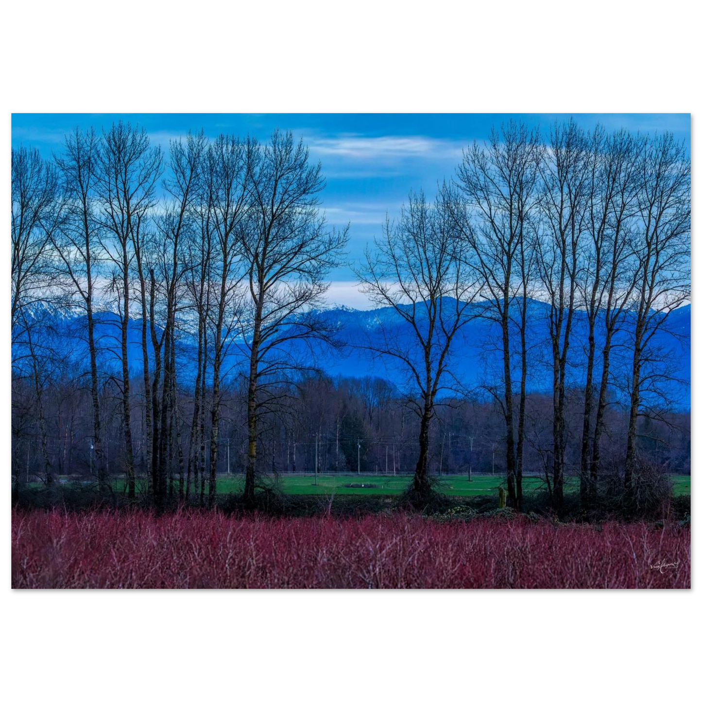 33106f5c-1010-40e3-af55-befdd8e4a0dd