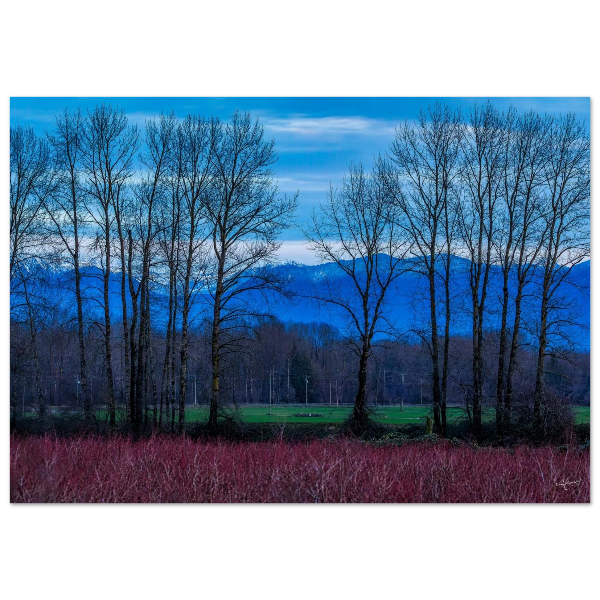 33106f5c-1010-40e3-af55-befdd8e4a0dd