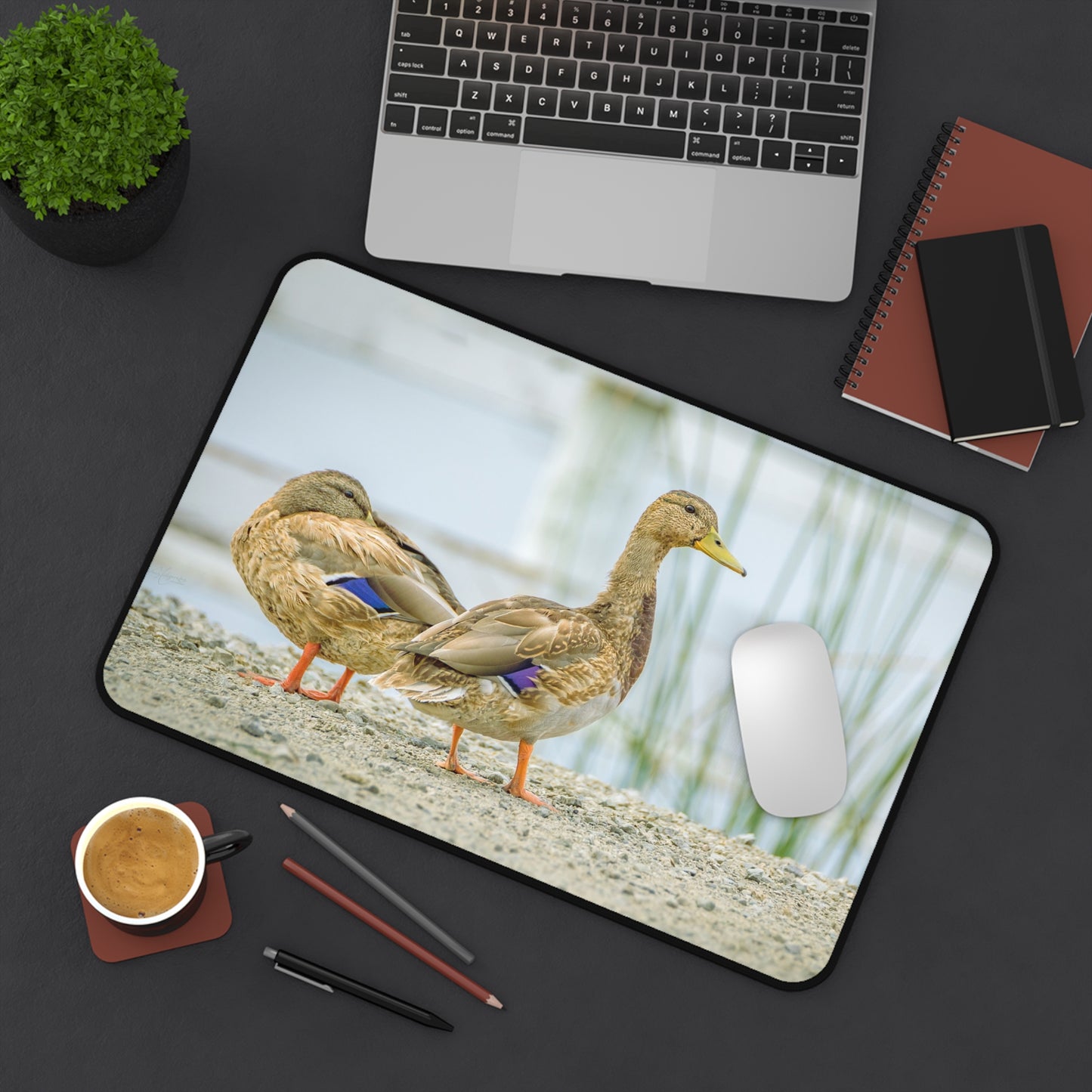 Duck Pair Desk Mat — Scenic Waterfowl Mouse Pad for Nature Lovers