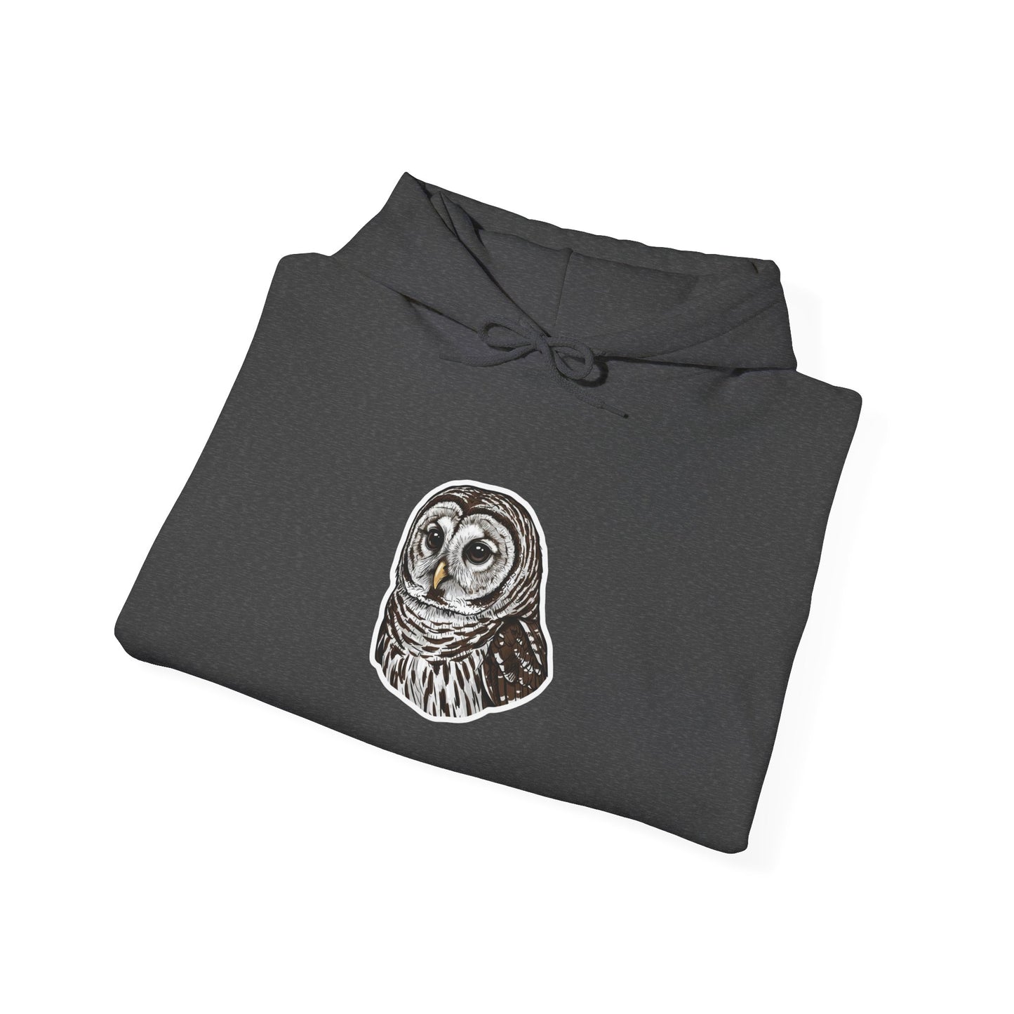 Hand-Drawn Barn Owl Illustration Hoodie | Wildlife Chest Print