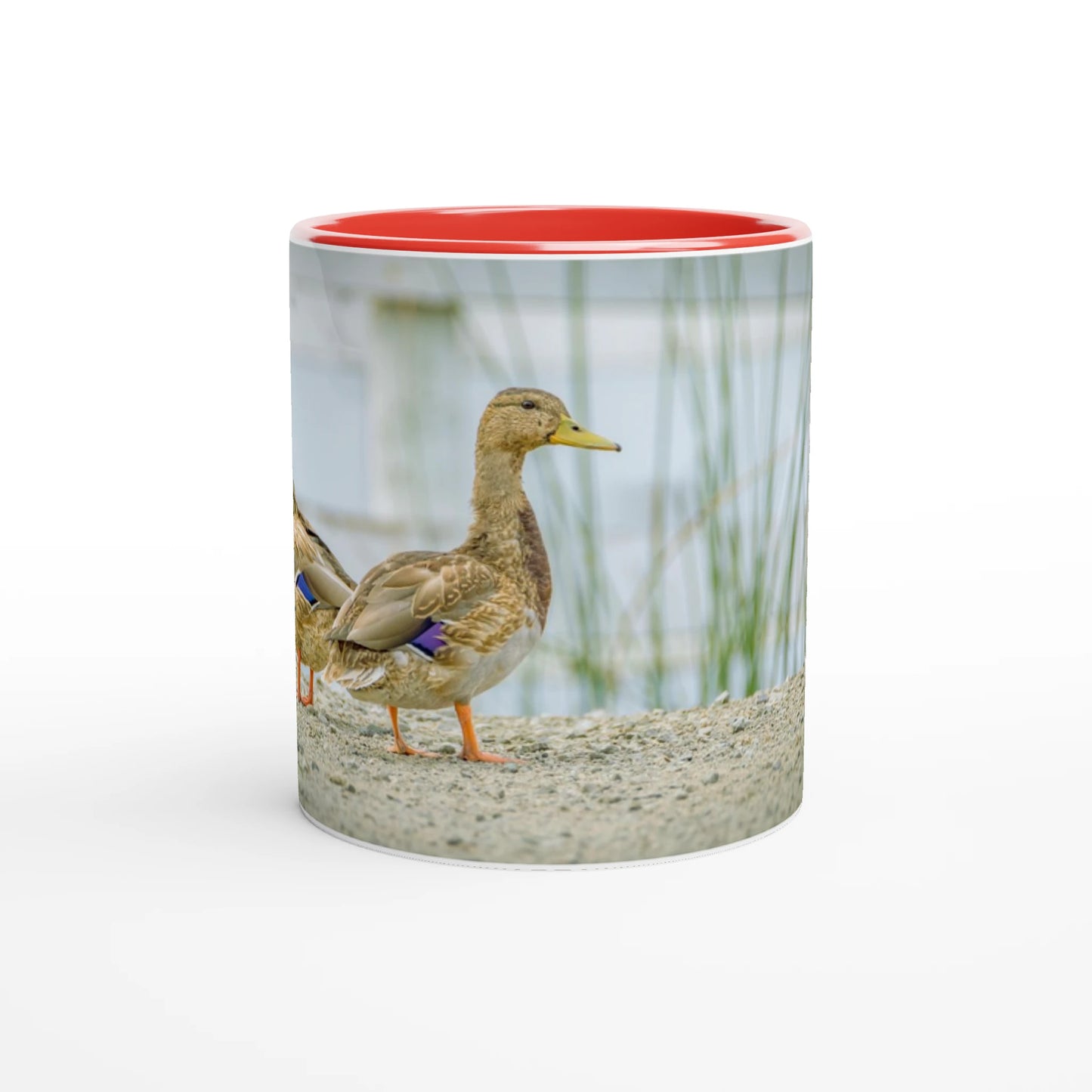 3601345d-4fcc-4853-97c8-cf47d27dc4ef