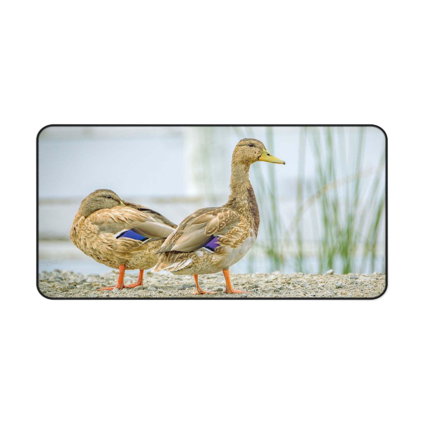 Duck Pair Desk Mat — Scenic Waterfowl Mouse Pad for Nature Lovers