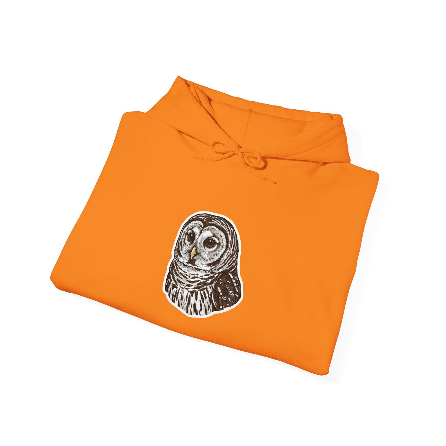 Hand-Drawn Barn Owl Illustration Hoodie | Wildlife Chest Print