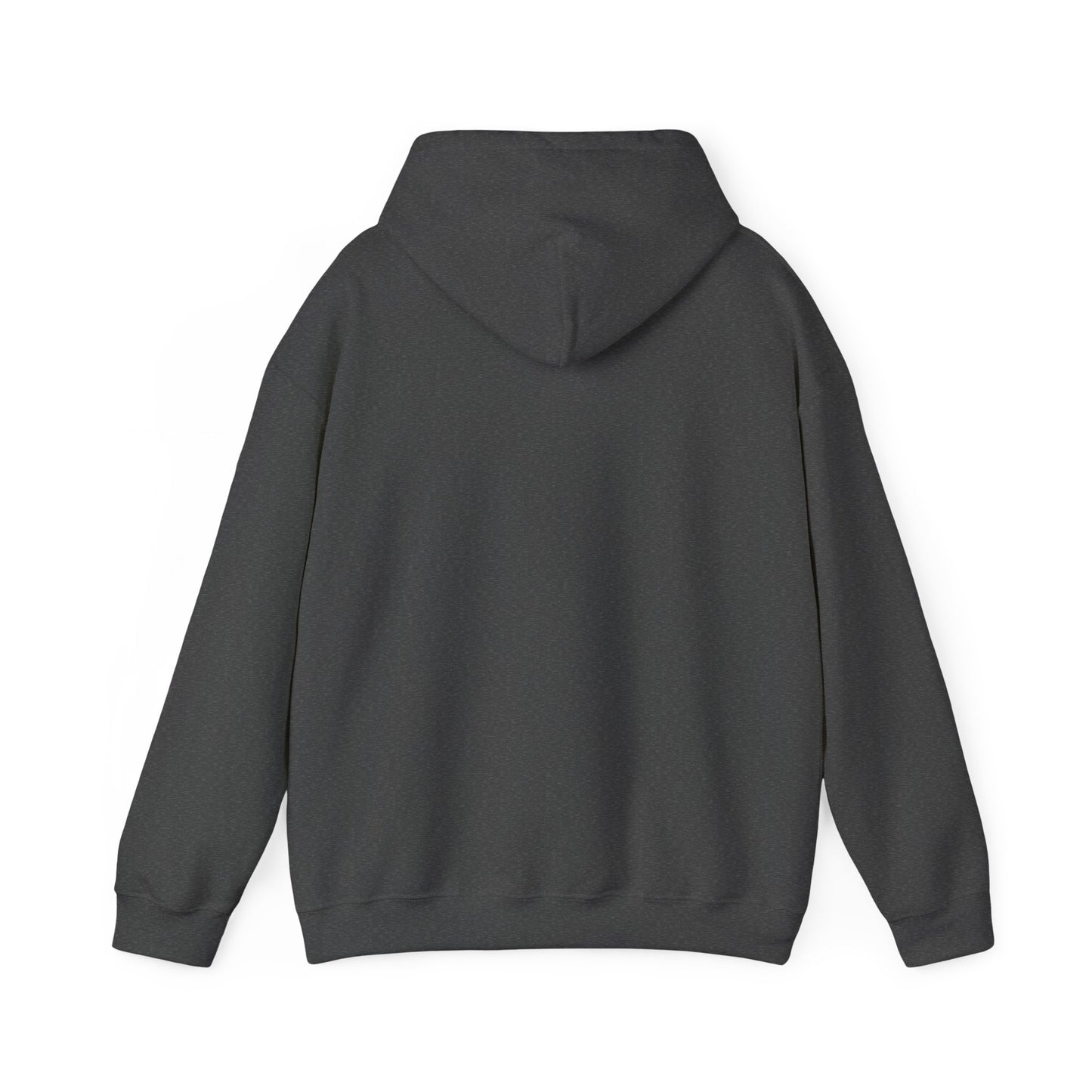 Hand-Drawn Barn Owl Illustration Hoodie | Wildlife Chest Print