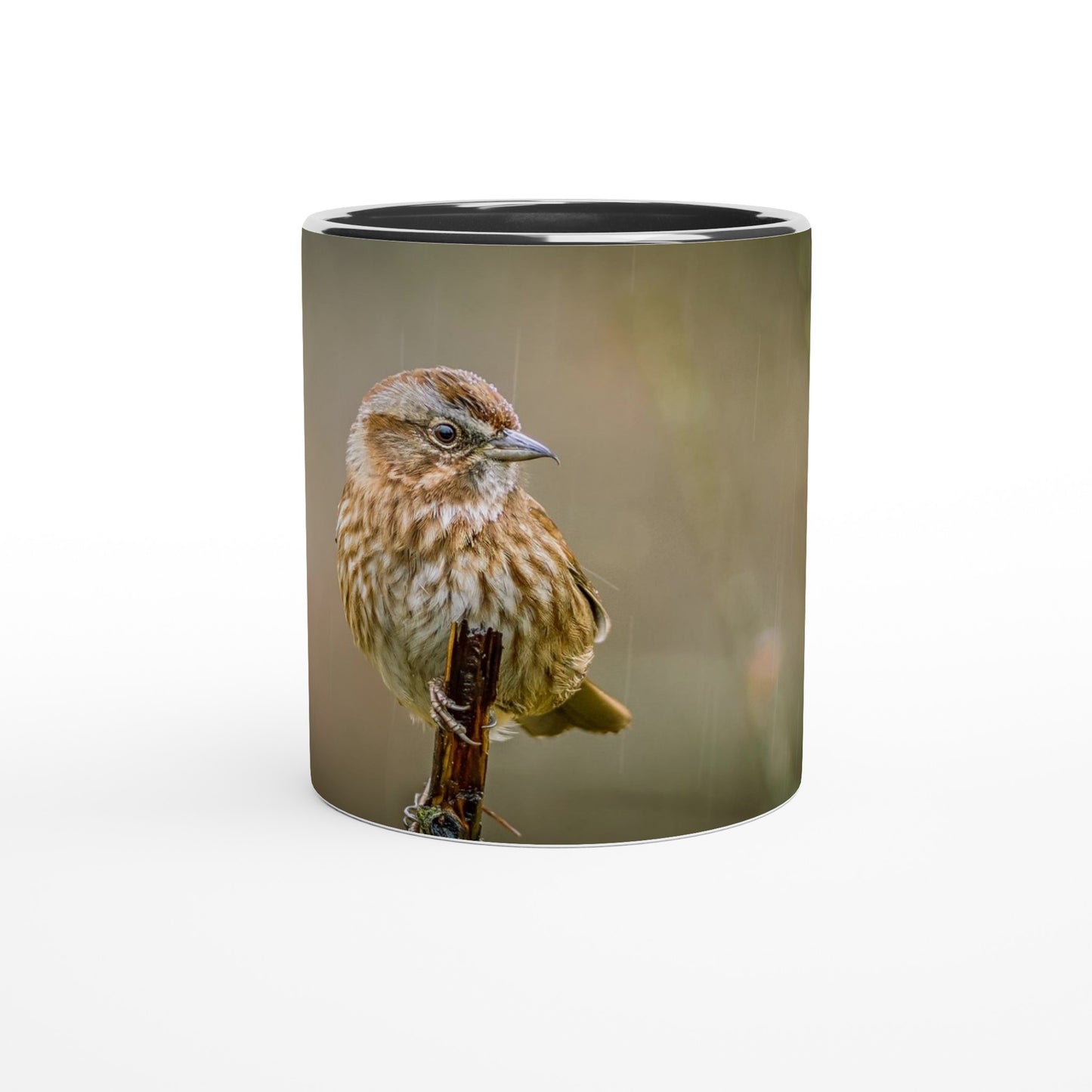 3d21d7f4-33ce-45d4-bcc1-6e13dc60192d