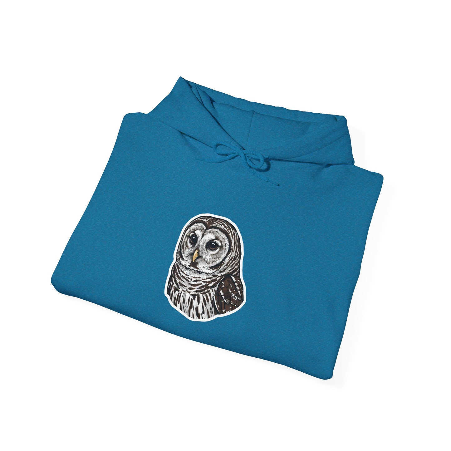 Hand-Drawn Barn Owl Illustration Hoodie | Wildlife Chest Print
