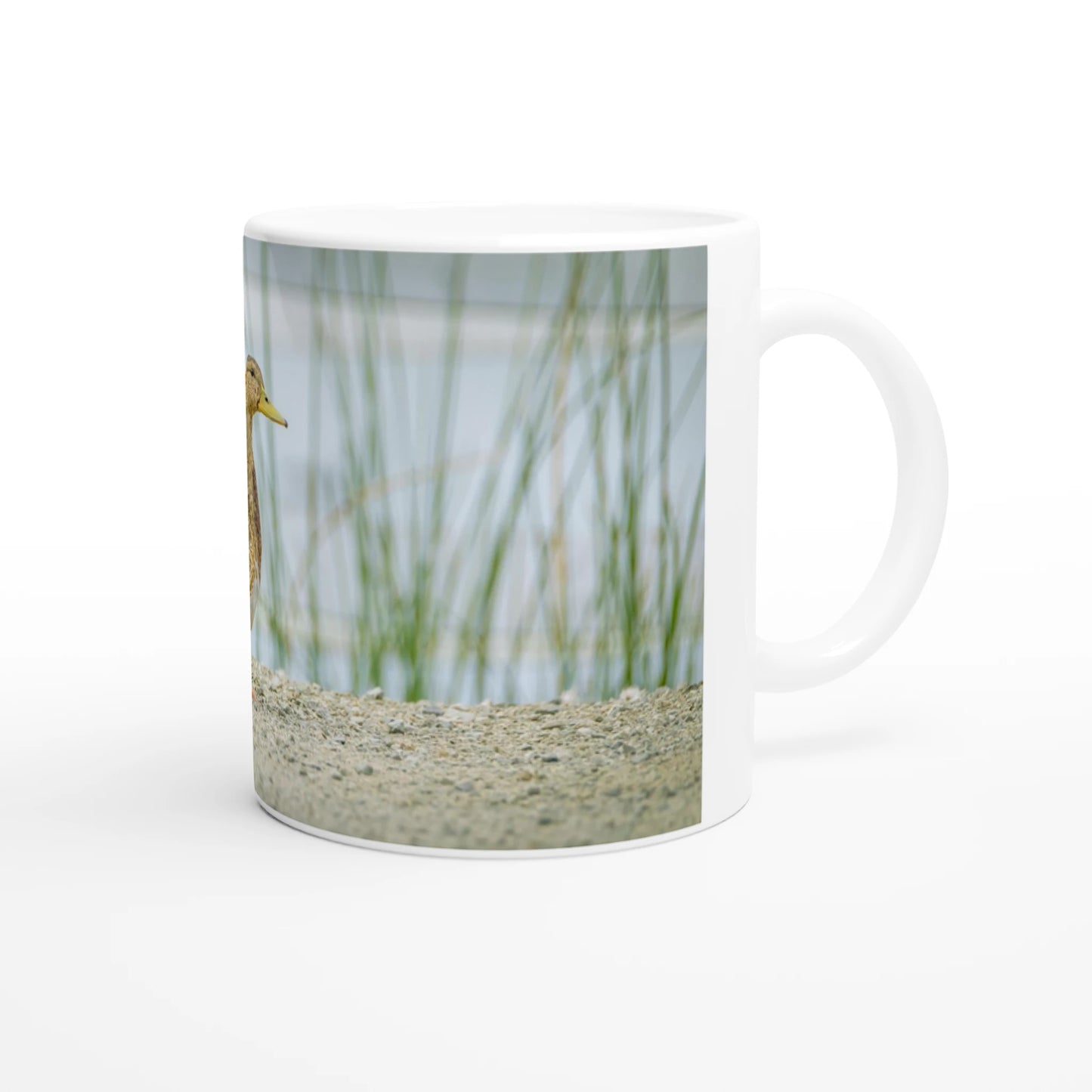 47de5e21-b320-4ca7-b503-8045c1d511e5