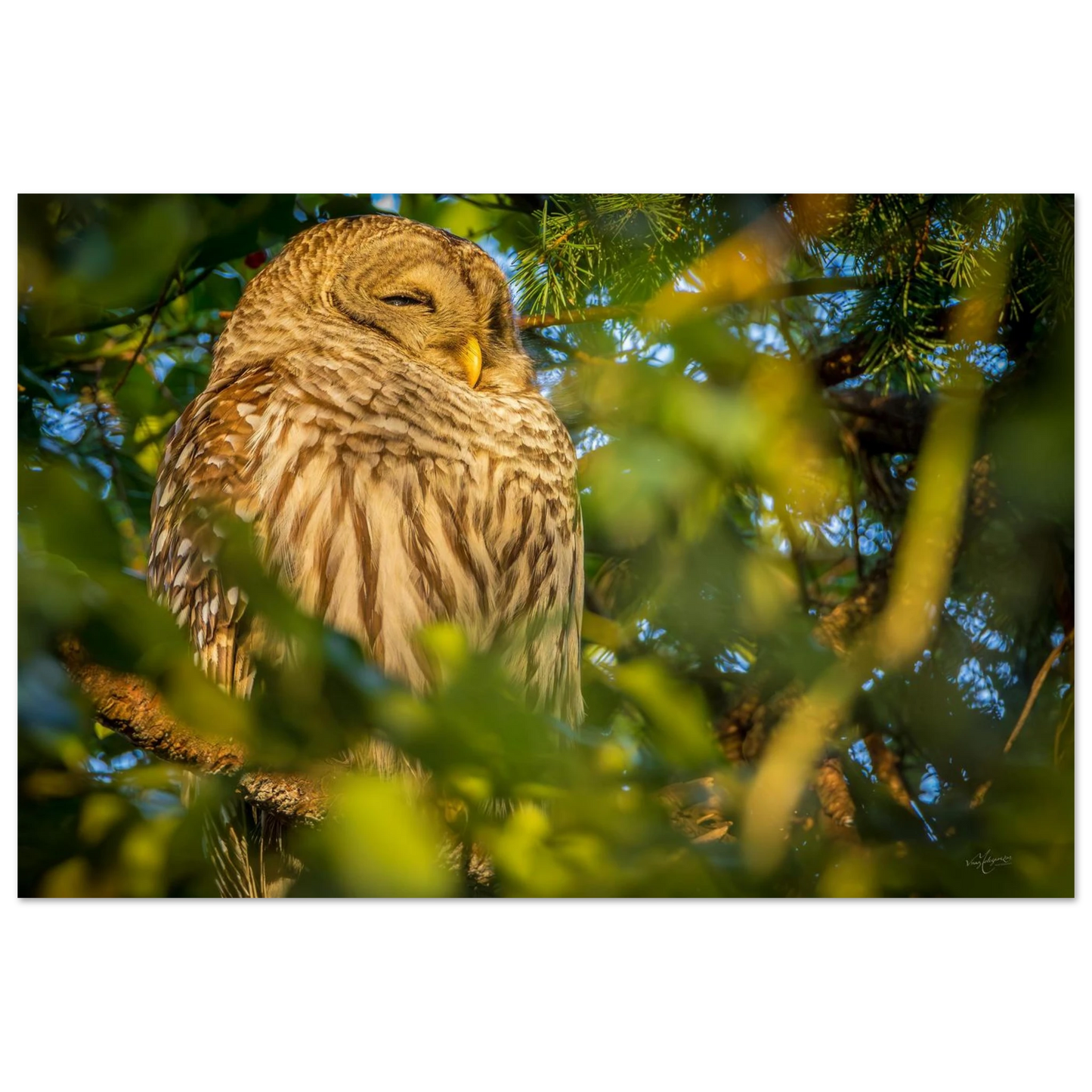 4a7552ed-cef2-43ff-b31c-7cf3b0c0b964