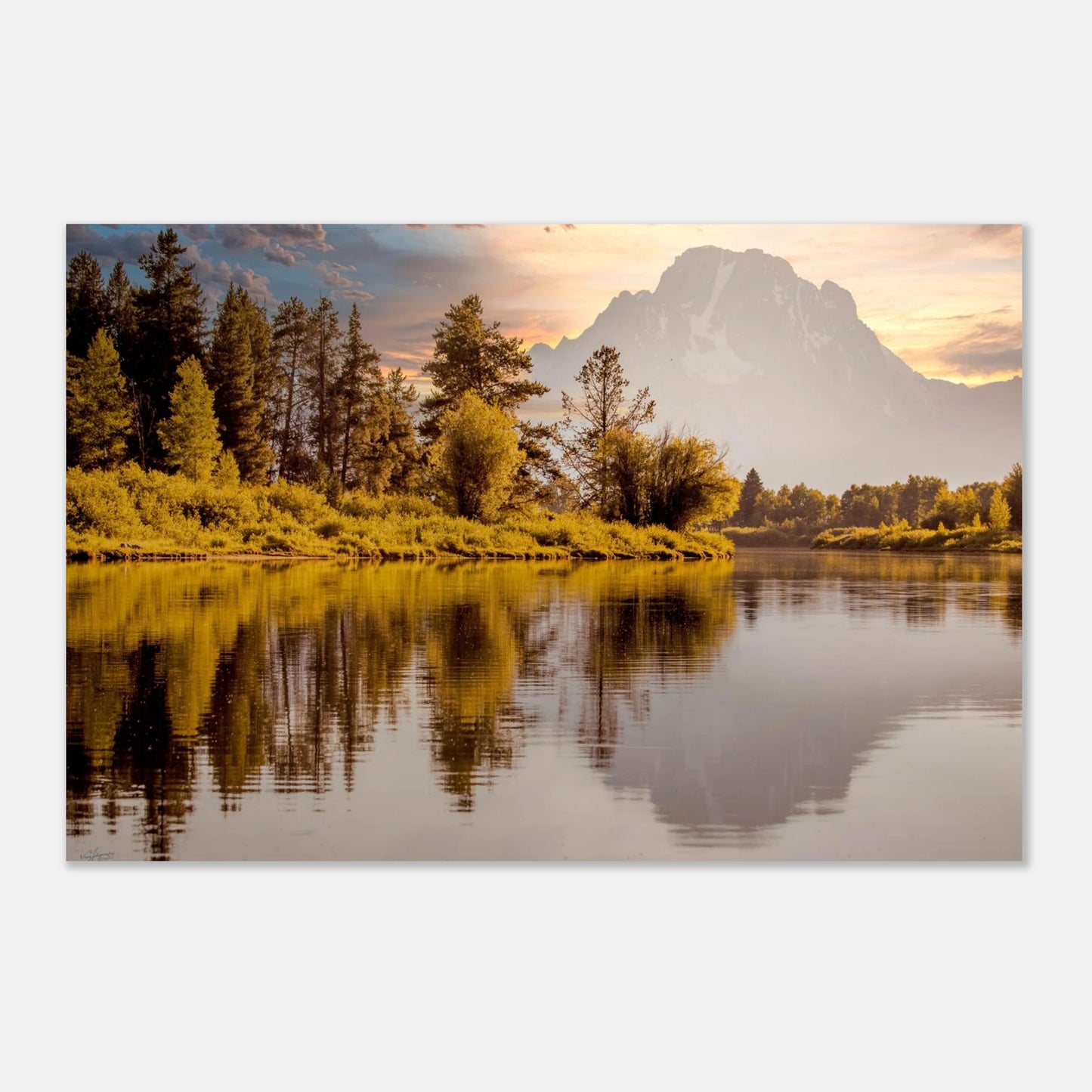 518efe0a-b9c9-4f52-b5b4-01062868da16